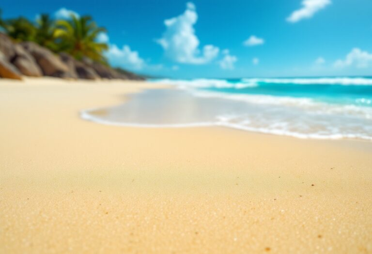 Volontari impegnati nella pulizia delle spiagge locali